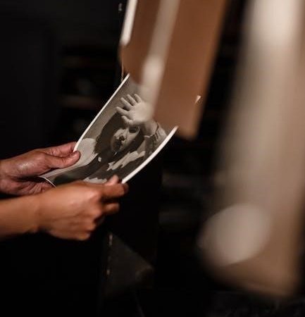 black and decker all in one bread maker manual