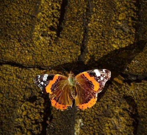 zap it bug zapper instructions