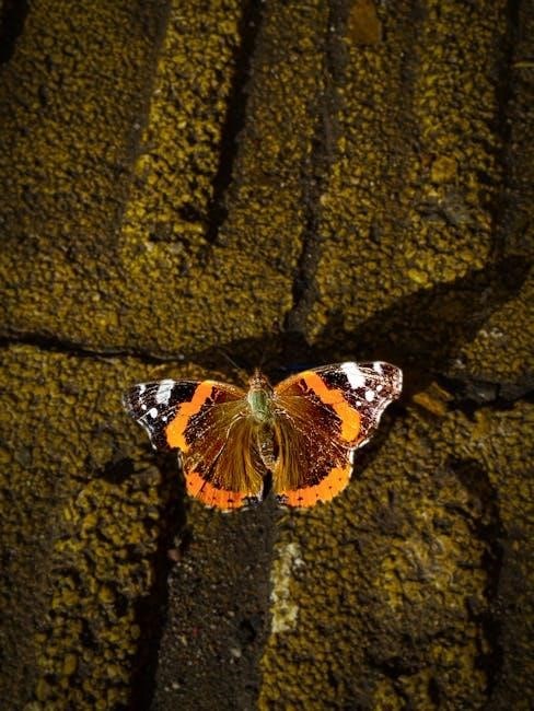 zap it bug zapper instructions